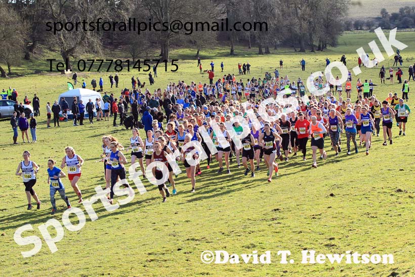 Senior womens 2023 NEHL, Thornley Farm, Peterlee, County Durham. Photo: David T. Hewitson/Sports for All Pics